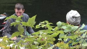 ДВУХКИЛОГРАММОВЫЕ ОКУНЯ рыбалка в ТАЙГЕ Саяно-Шушенское водохранилище ОСЕНЬ 2023