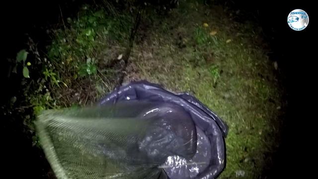 Монстры в маленьком пруду Карпфишинг на маленьком водоёме смотреть онлайн