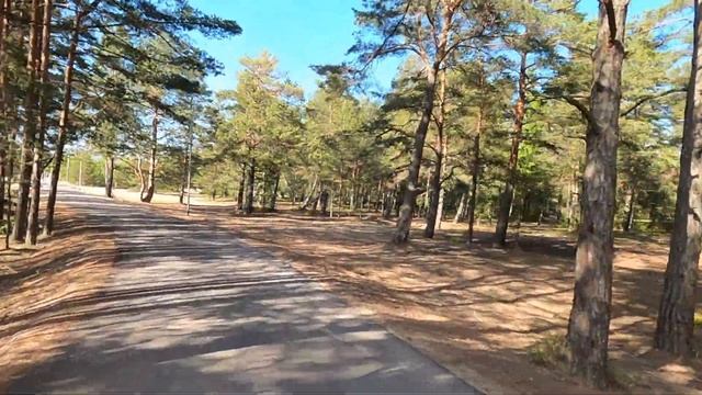 Прогулки по велодорожкам на электросамокате смотреть онлайн