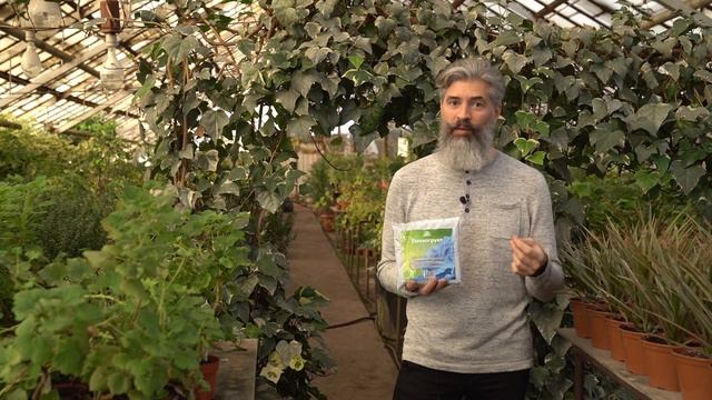 Грунт для всех видов гортензий и азалий. Почвогрунт Пуршат смотреть онлайн