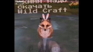 Wildcraft TikTok compilation 💛🍁 Подборка #1