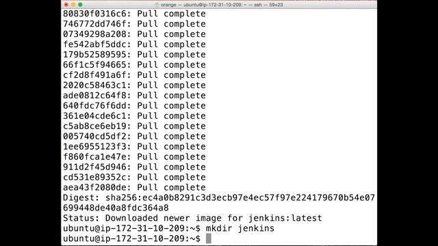 Running Jenkins with Docker смотреть онлайн