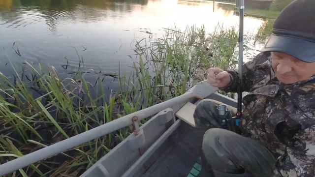 Ловля на спиннинг и поплавок щуки, язя.Вечерний клёв.Рыбалка на щуку. Рыбалка на язя Спиннинг 2020 смотреть онлайн