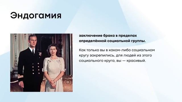 Психология красоты. Лекция кандидата психологических наук, основателя аккаунта Black Square Brand смотреть онлайн
