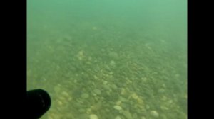 подводная охота на черном море г сочи лобан