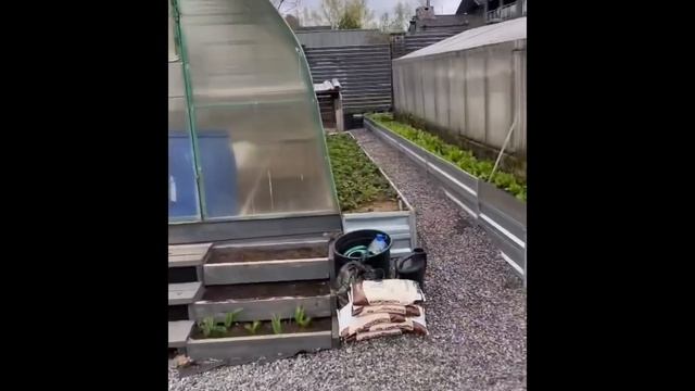 Елена Ваенга показала свой огород ??? смотреть онлайн