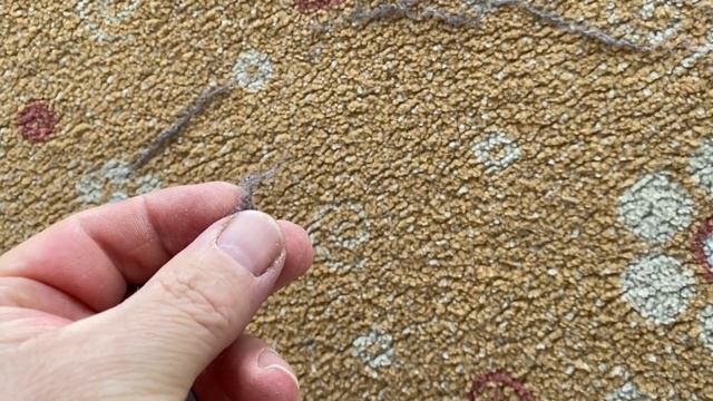 Дом и Семейное Участие