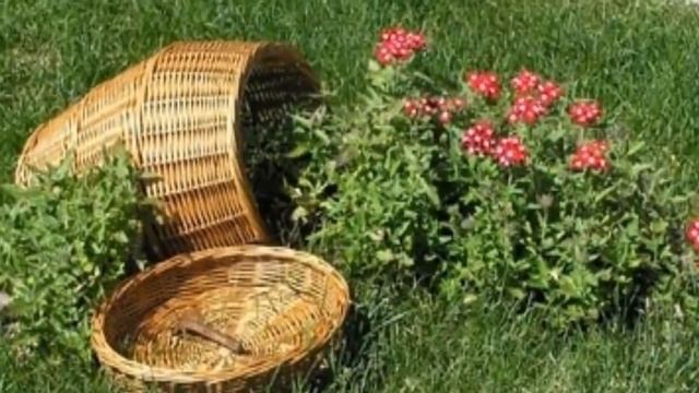КЛУМБА Идеи Красивой ОРИГИНАЛЬНОЙ КЛУМБЫ Дачный и Садовый Декор смотреть онлайн