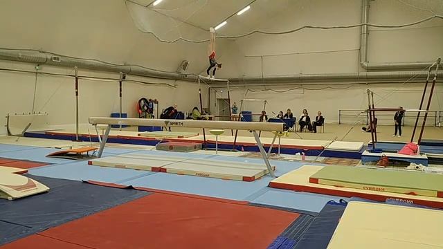 Чемпионат Санкт-Петербурга по спортивной гимнастике смотреть онлайн