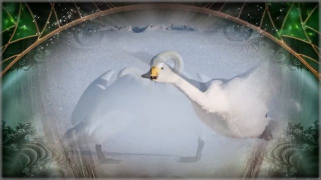 Ноктюрн... смотреть онлайн