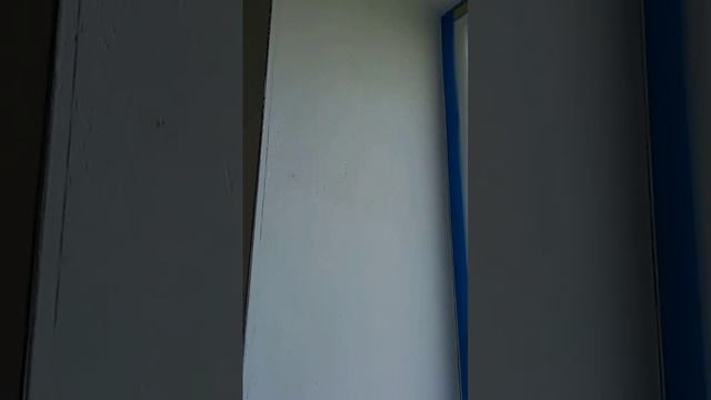 Оконные откосы самая ответственная работа в малярке. #механизированнаяшпаклевка #малярныеработы