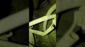 Toyota OPA , 1ZZ , расположение номера ДВИГАТЕЛЯ и кузова