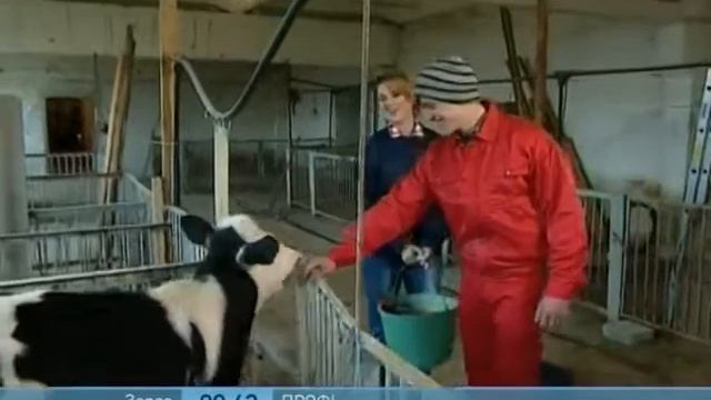 Приключения на Свиноферме - Ранок - Інтер смотреть онлайн