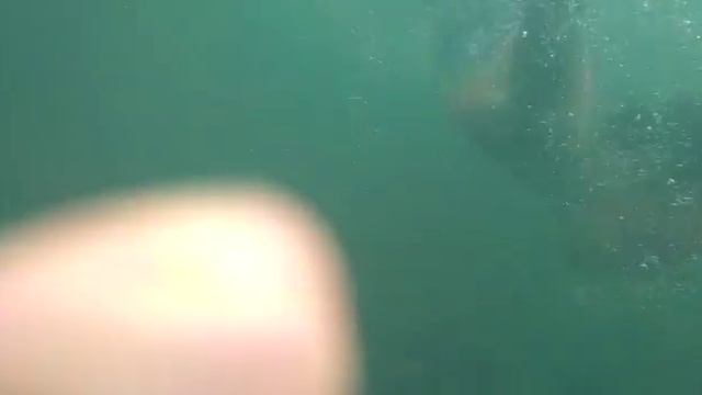 Как искать морские сокровища?! смотреть онлайн