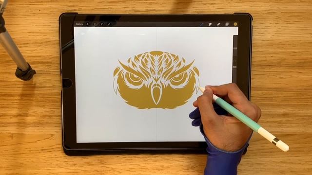 drawing owl logo in procreate with ipad pro смотреть онлайн