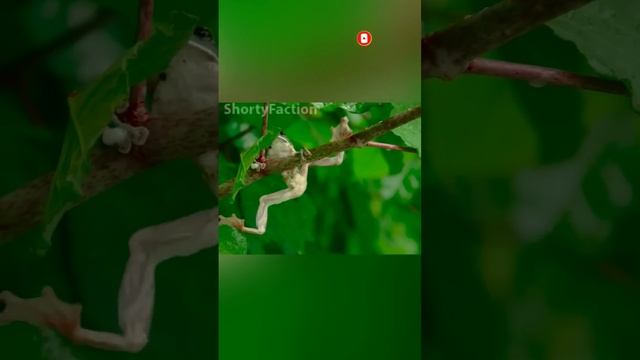 Пенная вечеринка не ради забавы... смотреть онлайн