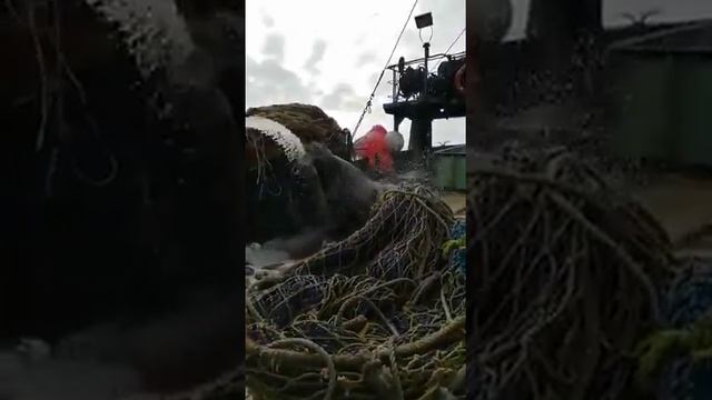 Наглый вор Вася !!! смотреть онлайн