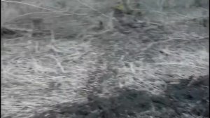 Русич т15 с фрезой