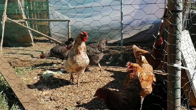 КРАСОТА ДА И ТОЛЬКО смотреть онлайн
