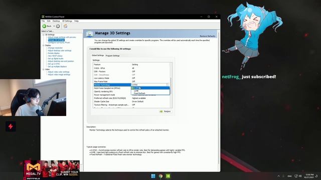SEN TenZ NVIDIA Settings