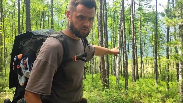 День 31. Мужинайская губа - Баргунда. Чем пахнет медвежья куча, клещи, стычка с медведем в лесу смотреть онлайн