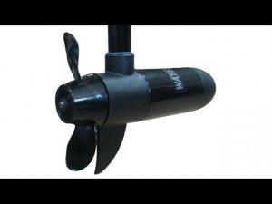 Замена сальника лодочного электромотора Watersnake