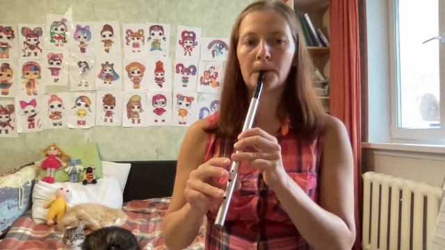 Old Horned Sheep (irish jig) - tin whistle & celtic harp + sheet music смотреть онлайн