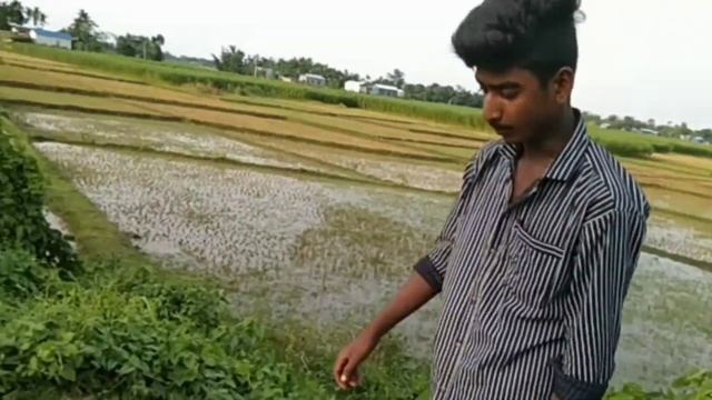 বিড়ি খোর || Biri Khur || Bangla New Funny ? Video 2023 || #NS#Official#Groups. смотреть онлайн