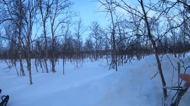 Тундра! катаемся на снегоходе!На снегоходе прокатился до избушки! первый выезд после ковида? смотреть онлайн