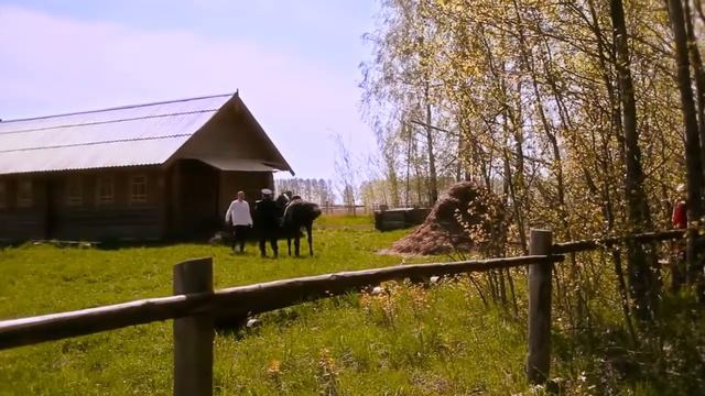 Бабкины внуки Не для меня смотреть онлайн