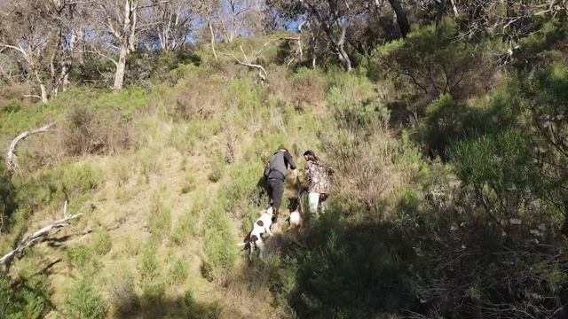 Epic Deer Hunting Adventure From Our Complete Bush Crafted Treehouse - Catch & Cook In The Wild смотреть онлайн