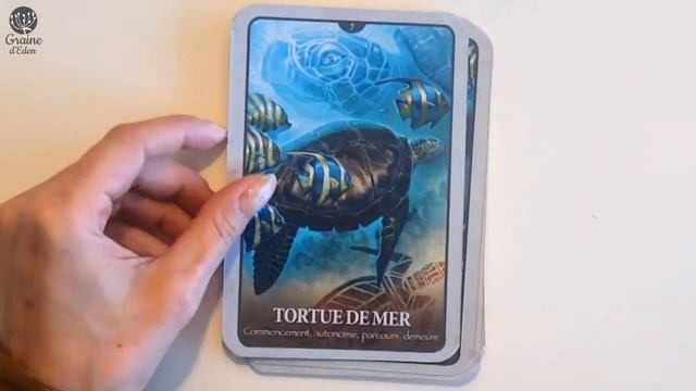 [ Review ] Les Cartes Le langage secret des Animaux смотреть онлайн