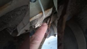 Мерседес спринтер 2  2.9 тди снятие бака часть 1