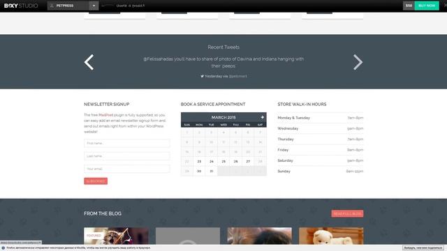 PetPress - A Pet Shop Services Theme for WordPress смотреть онлайн