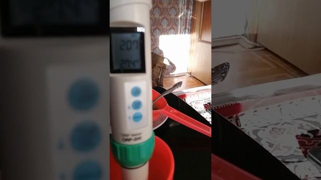 Сурица. Мощная и эффективная чистка организма. Плоды Фенхеля. смотреть онлайн