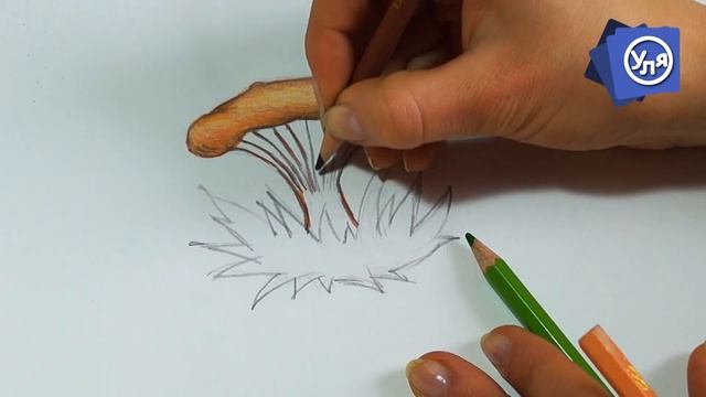 Рисунки карандашом поэтапно // Как нарисовать грибы Лисички смотреть онлайн