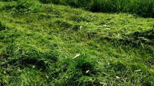 Новая роторная косилка на т40 косым первый раз