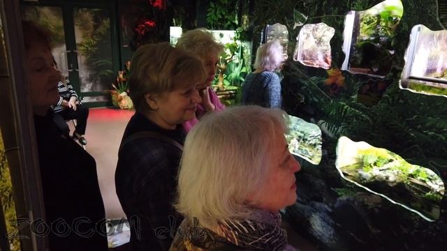 Чего не видит зритель. Закулисье зоопарка. Moscow Zoo смотреть онлайн