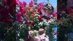 Романэ гиля 2023г.