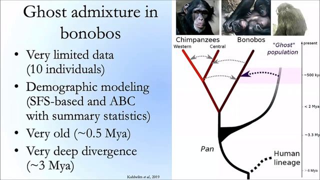 Martin Kuhlwilm - PopGen Vienna talk смотреть онлайн