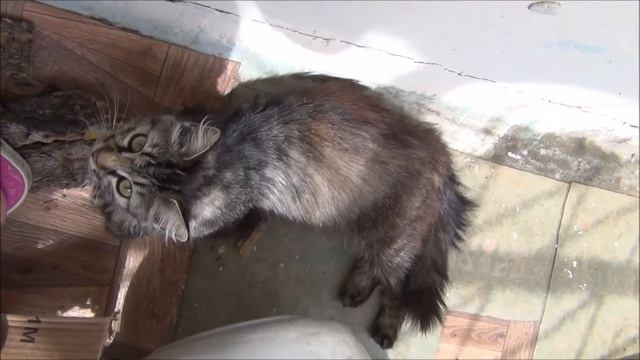 Малыши-карандаши смотреть онлайн