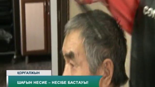Коргалжин каз смотреть онлайн