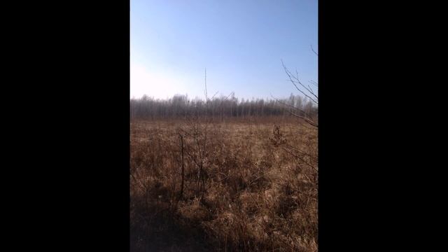 Как мы шли на гектар! #Дальневосточный гектар смотреть онлайн