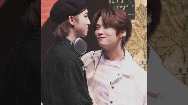 #straykids#стрэйкидс#кпоп#минхо#ли#линоу#хан#джисон#ханджисон#хани#skz#stay#эдит#минсоны#minsung