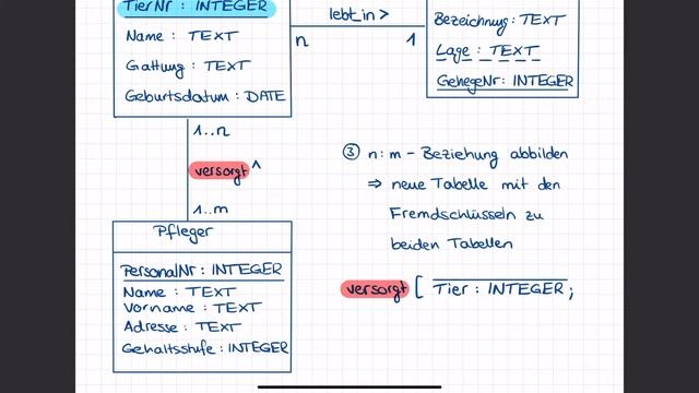 Datenbank: relationales Modell n:m-Beziehung смотреть онлайн