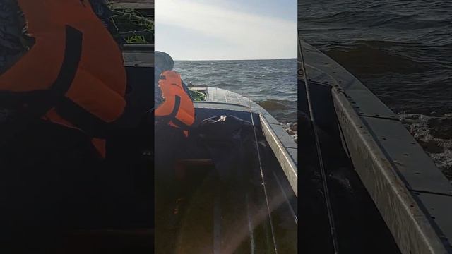обычная рыбалка осенью на Горьковском водохранилище,даже дети не бояться🤣 смотреть онлайн