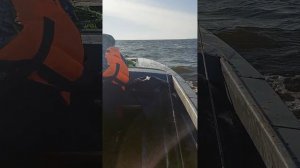 обычная рыбалка осенью на Горьковском водохранилище,даже дети не бояться🤣