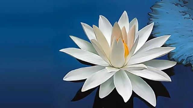 Звуки чакр. OSHO Chakra Sounds Meditation Karunesh (RELAXATION, MEDITATION)