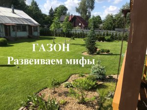 Газон своими руками. Просто, быстро, недорого.