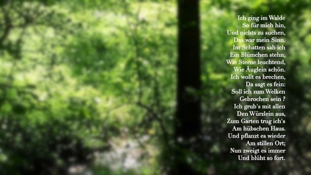 Gefunden von Johann Wolfgang von Goethe смотреть онлайн